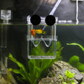 Senzeal Aquarium Fish Breeder Box Plastic Fish Isolation Breeding Box Hatching Incubator Box for Baby Fishes Shrimp Clow
