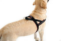ComfortFlex No-Choke Non-Chafe Sport Dog Harness