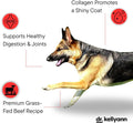 Dr. Kellyann Bone Broth Meal Topper for Dogs | Grass-Fed Beef Recipe | 3g Collagen | Supports Healthy Digestion & Joints