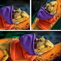 Lizard Clothes for Bearded Dragons Reptile Apparel Handmade Cotton Material Hoodies Gift for Lizard Small Animal Gecko C