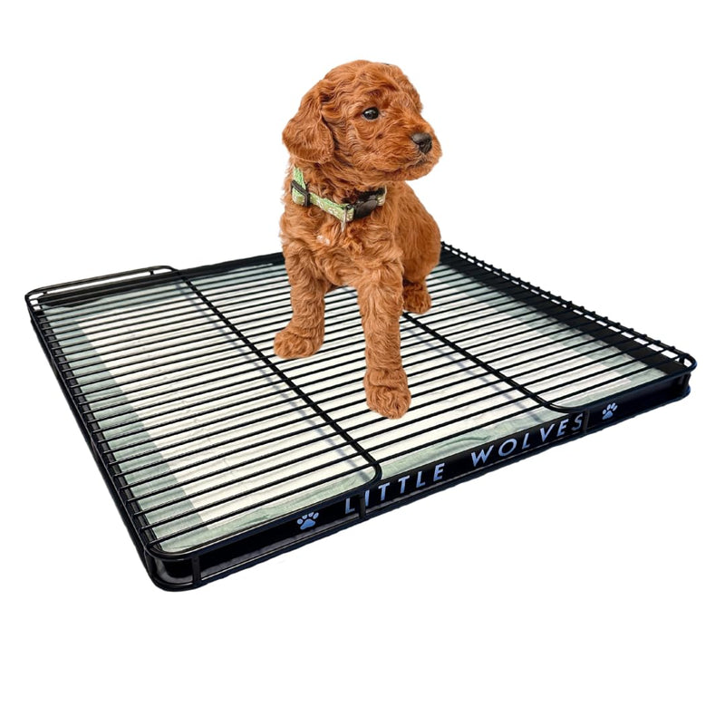 Little Wolves Puppy Potty Tray – 22x22 Shred-Proof Heavy-Duty Training Tray for Puppies & Small Dogs, Easy-Clean, Indoor Dog Pee Pad Holder (Medium Gap)