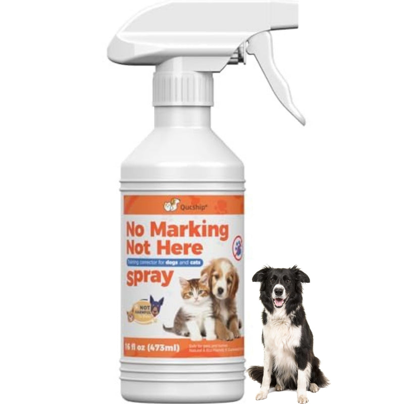 Qucship 16oz Manage Your Dog's Marking Behavior with This Simple Spray, Friendly with This Spray, Training Corrector for Puppies & Dogs, Reduce Unwanted Mark with This Dog Spray