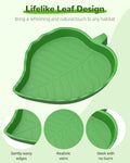 Pawfly 2 Pcs Leaf Reptile Water Dish, Reptile Water Bowl, Tortoise Habitat Accessories, Bearded Dragon Water Bowl, Pet F