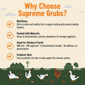 Natural Black Soldier Fly Larvae for Chickens, 85X More Calcium Than Mealworms-High Protein Grub Food Chicken Treats for