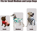 Recovery Suit for Dogs After Surgery, Dog Recovery Suit Female Male after Neutering, Dog Spay Surgical Recovery Suit Fem