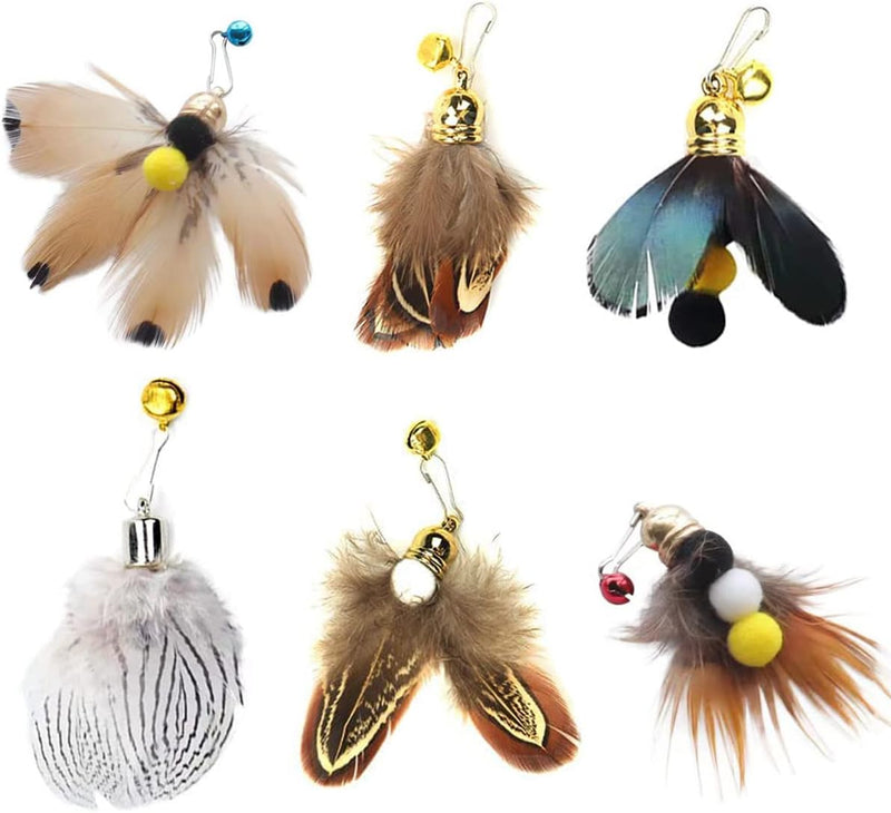 Cat Insect Feather Toys Replacement Cat Toy Wand Refills, 6 Pieces Natural Insect Cat Toy Feathers Refill, Interactive C
