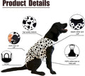 Recovery Suit for Dogs After Surgery, Dog Recovery Suit Female Male after Neutering, Dog Spay Surgical Recovery Suit Fem