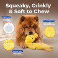 Best Pet Supplies Interactive Squeaky Dog Chew Toy, Ideal Dog Toys for Chewers, Small, Medium & Large Dogs, and Fetch Lovers - Crinkle Duck (Yellow), Large