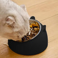Raised Cat Bowls, Stainless Steel Tilted 15° Slanted Elevated Feeding, Anti-Slip Detachable Pet Bowls (Black, 200ML)
