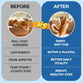 PurrVita Taurine for Cats, Pure Taurine Supplement for Cats Powder, Grade Amino Acid Supplement for Heart, Vision & Dail