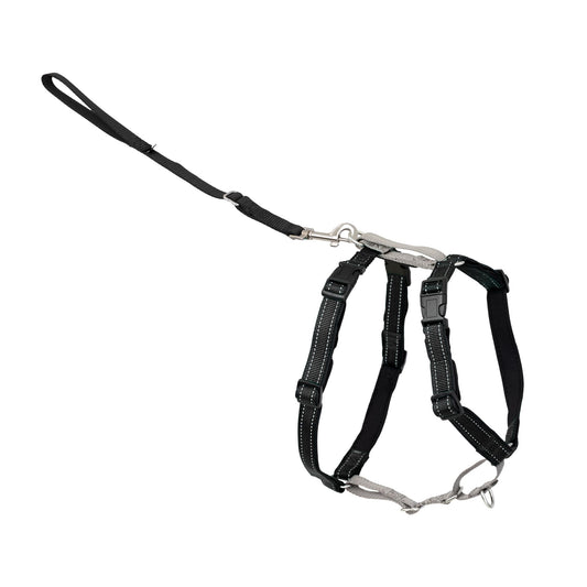 PetSafe 3 in 1 No-Pull Dog Harness for Medium Dogs - Walk, Train or Travel - Helps Pets from Pulling on Walks - Seatbelt Loop Doubles as Quick Access Handle - Reflective- Medium, Black