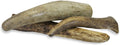 Exotic Nutrition Antler Chews - Safe Small Animal Chew - Natural Source of Healthy Minerals - Chinchilla, Hamster, Degu,