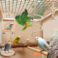 TOLMIOW 9-Piece Parrots Chewing Toy Set - Natural Wood & Rope Bungee Toys for Anchovies, Coconut Hideaway with Ladder, Bird Perch Stand, Cage Accessories for Parakeets, Cockatiel, Conure, Mynah, Macaw