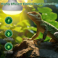 DaToo Reptile Heat Lamp 100W Amphibians Basking Light Bulb UVA Heat Lamp Bulbs Daylight Basking Spot Light for Lizards B