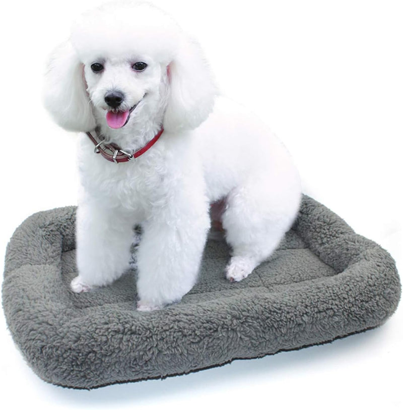 Enjoying Cat Mat Bed 16