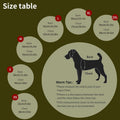 Warm Dog Winter Coat, Fashion Sports Cold Weather Jacket with Built-in Harness, Reflective & Adjustable Comfortable Pet 