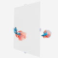 2 PCS Aquarium Fish Tank Divider Plastic Grid Divider Clear Cuttable Grid Plate Fish Tank Isolation with Bracket Fish Ta