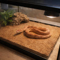 6-Pack Natural Coconut Fiber Reptile Carpet, 12x12 Inch Eco-Friendly Terrarium Liner & Bedding for Lizard, Snake, Turtle