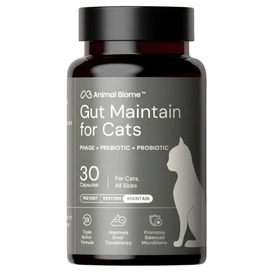 AnimalBiome NEW Probiotics for Cats with S Boulardii (30 Capsules) KittyBiome - Gut Maintain Triple-Action Phage, Prebiotics & Probiotic Cat Supplements for Digestive Health, Open for Easy Food Topper