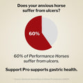 Formula 707 Support Pro Horse Supplement, 28 Daily Packs - Calming Aid