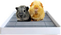 PODOO Rabbit Litter Box – Training Potty Tray for Guinea Pig & Small Pets · Spacious Grid Pan with Low Entrance, Easy-Cl