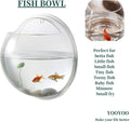Creative Acrylic Hanging Wall Mounted Fish Tank, Hanging Bowl for Water Plants, Wall Fish Bubble Tank, Hydroponic Air Pl