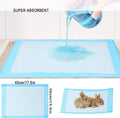 Small Animal Travel Carrier with Absorbent Pad Set, Pee Pad with Leak-Proof Quick-Dry Design for Guinea Pig,Portable Bea