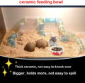 2 Pcs Hamster Ceramic Bowl, Small Animals Anti-Turning Food Water Bowl for Rabbit Hamster Guinea Pig Hedgehog Squirrel (