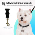 The Buddy System - Hands Free Dog Leash - Small Dog, Large Belt