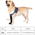 COODEO Dog Socks to Prevent Licking Paws, Healing Boots & Paw Protectors with Non-Slip Bottoms for Wound Protection, Wat