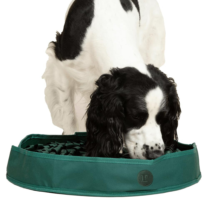Reggie Snuffle Mat for Dogs, for Calming Support, Reducing Speed Eating, and Mental Stimulation, Durable & Easy to Clean Sniff Mat for Dogs, 20