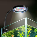 DaToo 6W Aquarium LED Light for 1-5 Gallon Betta Fish Tanks Mini USB Clip On Fish Tank Light with Full Spectrum & Dimmab