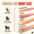 Bully Bunches Premium (6" Jumbo - 6 Pack) Odor-Free Bully Sticks for Medium & Large Dogs - Consistently Sized, Long Last