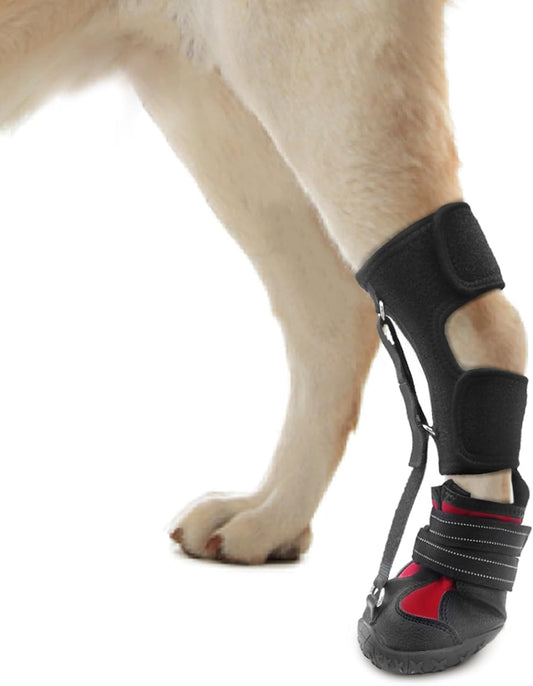Strap-On Drop Foot Brace (No Knuckling Boot Brace) for Dogs, M