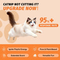 PAW PLANET 2.8 fl.oz. Advanced Catnip Spray with Silvervine for Indoor Cats & Kittens, 95%+ Response Rate, Natural Training & Play Mist