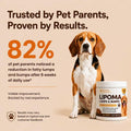 Lipoma Treatment for Dogs – Lumps & Bumps Support, Helps Reduce Fatty Tumors, Turkey Tail Mushroom Chews for Immune Heal