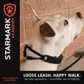 Starmark Pro-Training Dog Collar Small 15-inch, Humane No-Pull