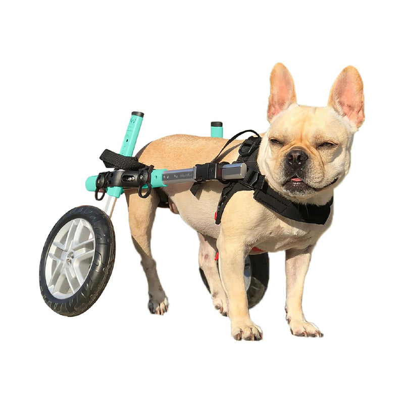 Walkin' Wheels Small Dog Wheelchair, Lightweight Dog Wheelchair for Back Legs, 15-25 lbs, for 9-11 inches Leg Height - Seafoam
