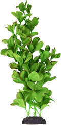 Underwater Treasures Silk Bacopa Monnieri - 12"