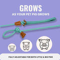 PORCINE® Mini Pig Harness & Leash – Fully Adjustable Step-in Harness with Infinity-Style Lead - Ideal for Medium & Large