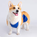 Permeable Dog Belly Bands Washable Pet Belly Covers Regulable Belly Bands for Small to Large Dogs