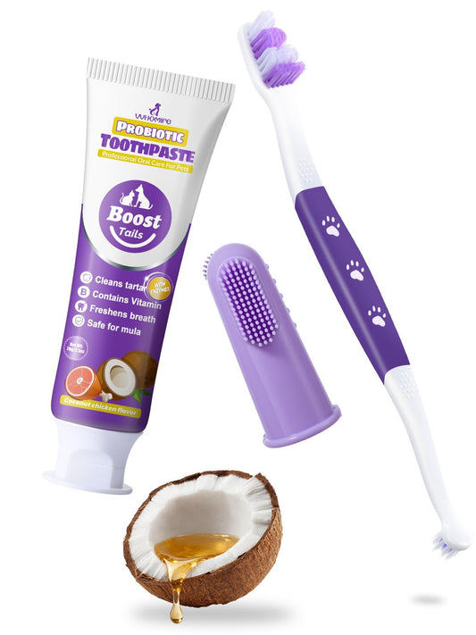 VVHOMIFE Premium Dog Oral Care Kit - Natural Coconut Chicken Flavored Toothpaste,Dual Head Toothbrush and Finger Toothbrush for Dogs,Plaque Prevention,Tartar Control.2.5oz(Pack of 1)