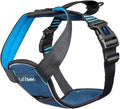 CarSafe Crash Tested Dog Safety Harness | Size M