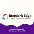 Breeder’s Edge Kitten Lyte, Electrolyte Supplement for Kittens and Nursing Cats, Supports Hydration, Energy & Recovery, Chicken Soup Flavor, 300g