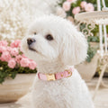 DOGWONG PU Leather Dog Collars for Small Dogs,Classic Adjustable Pink Dog Collars with Quick Release Metal Buckle,Easy C