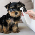 Abaodam Cat and Dog Ear Thermometer, Digital Pet Ear Temperature Monitor