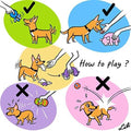 CHIWAVA 3PCS 2.7'' Squeak Latex Dog Toy Football Chew Fetch Throw Ball for Medium Dogs Interactive Play
