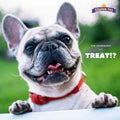 Kingdom Pets Duck Jerky & Sweet Potato Dog Treats with Only 4 Ingredients and No Fillers, 3 Pound Bag