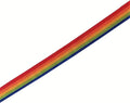 TAIAN 4FT/5FT/6FT Strong Dog Leash, Nylon Dog Leashes for Small Medium Large Dogs (Rainbow, 1 in x 10 ft)