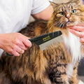 Pet Republique Grooming Tool - Fine-Toothed Comb for Removing Fleas, Mites, Ticks, and Dandruff from Dogs, Cats, Rabbits